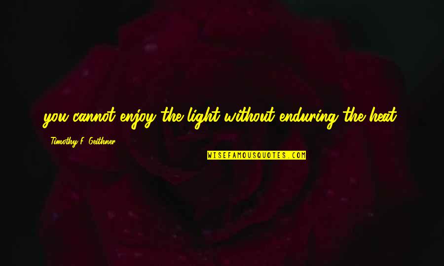 Whimsical Wedding Quotes By Timothy F. Geithner: you cannot enjoy the light without enduring the
