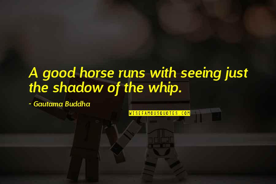 Whip Of Quotes By Gautama Buddha: A good horse runs with seeing just the Whip Of Quotes By Gautama Buddha: A good horse runs with seeing just the