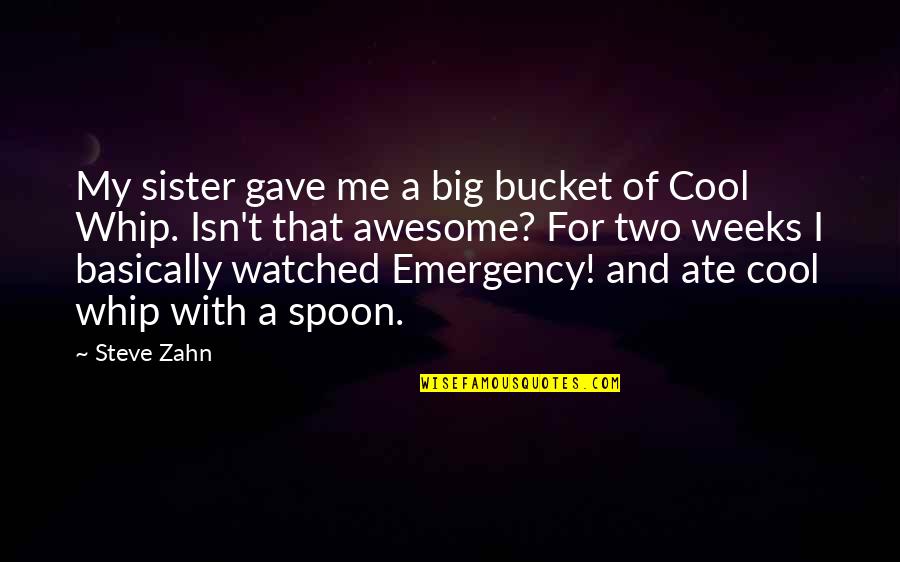 Whip Of Quotes By Steve Zahn: My sister gave me a big bucket of Whip Of Quotes By Steve Zahn: My sister gave me a big bucket of