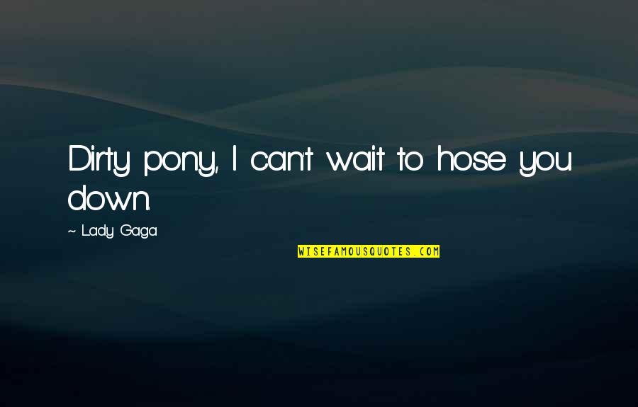 Whirligig Brent Quotes By Lady Gaga: Dirty pony, I can't wait to hose you