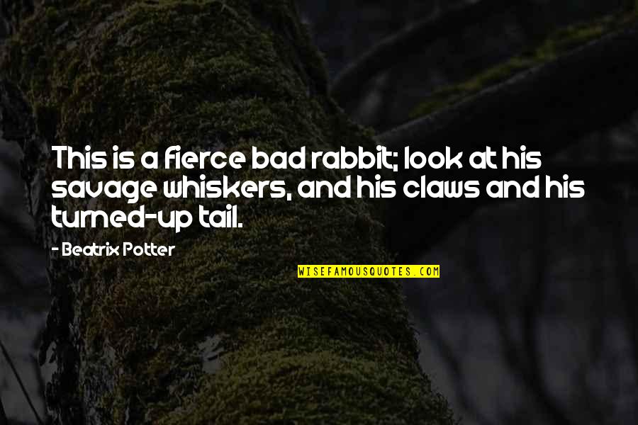 Whiskers Quotes By Beatrix Potter: This is a fierce bad rabbit; look at