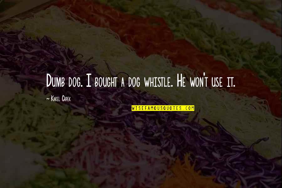 Whistle Quotes By Karel Capek: Dumb dog. I bought a dog whistle. He