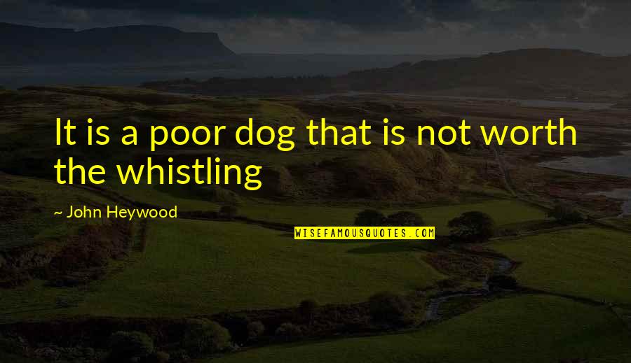Whistling Quotes By John Heywood: It is a poor dog that is not