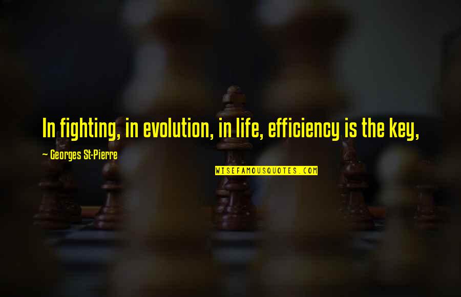 White And Black Friend Quotes By Georges St-Pierre: In fighting, in evolution, in life, efficiency is