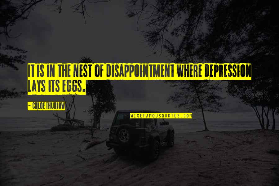 White Background Aesthetic Quotes By Chloe Thurlow: It is in the nest of disappointment where