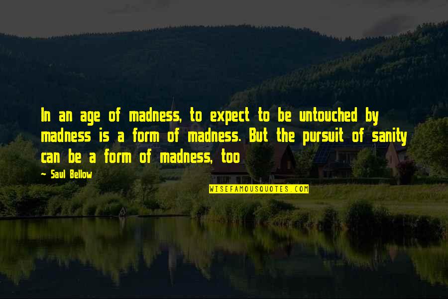 White Clouds Aesthetic Quotes By Saul Bellow: In an age of madness, to expect to