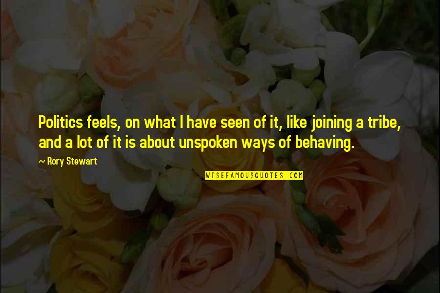 White Color Meaning Personality Quotes By Rory Stewart: Politics feels, on what I have seen of
