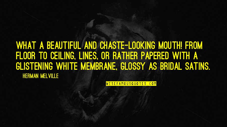 White Lines Quotes By Herman Melville: What a beautiful and chaste-looking mouth! from floor