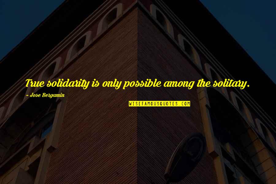 White Noise Movie Quotes By Jose Bergamin: True solidarity is only possible among the solitary.