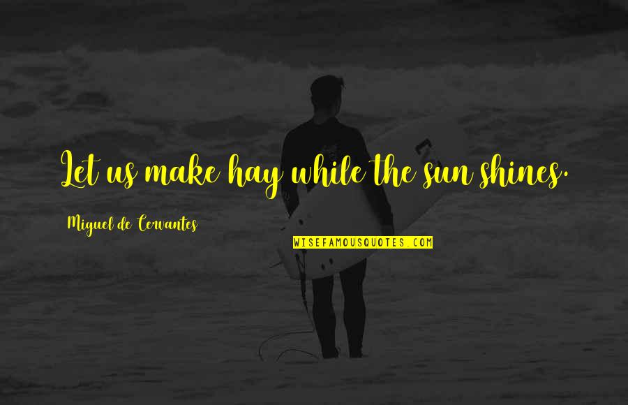 White Pictures With Quotes By Miguel De Cervantes: Let us make hay while the sun shines. White Pictures With Quotes By Miguel De Cervantes: Let us make hay while the sun shines.