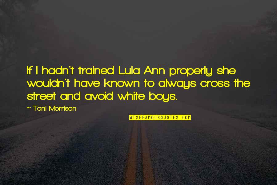 White Race Quotes By Toni Morrison: If I hadn't trained Lula Ann properly she