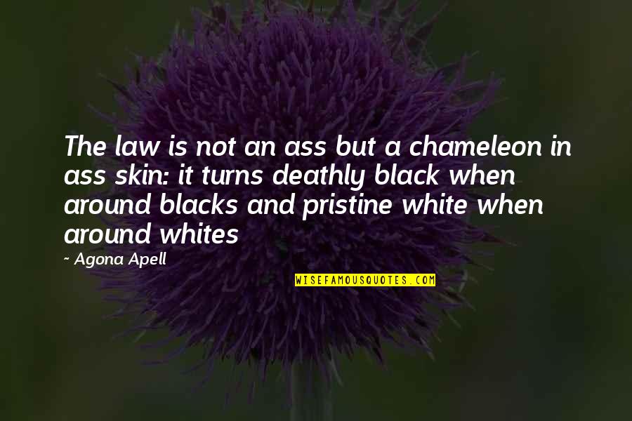 White Skin Quotes By Agona Apell: The law is not an ass but a