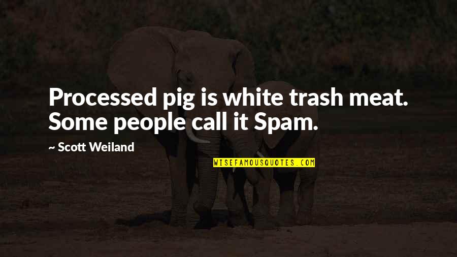 White Trash Quotes By Scott Weiland: Processed pig is white trash meat. Some people White Trash Quotes By Scott Weiland: Processed pig is white trash meat. Some people