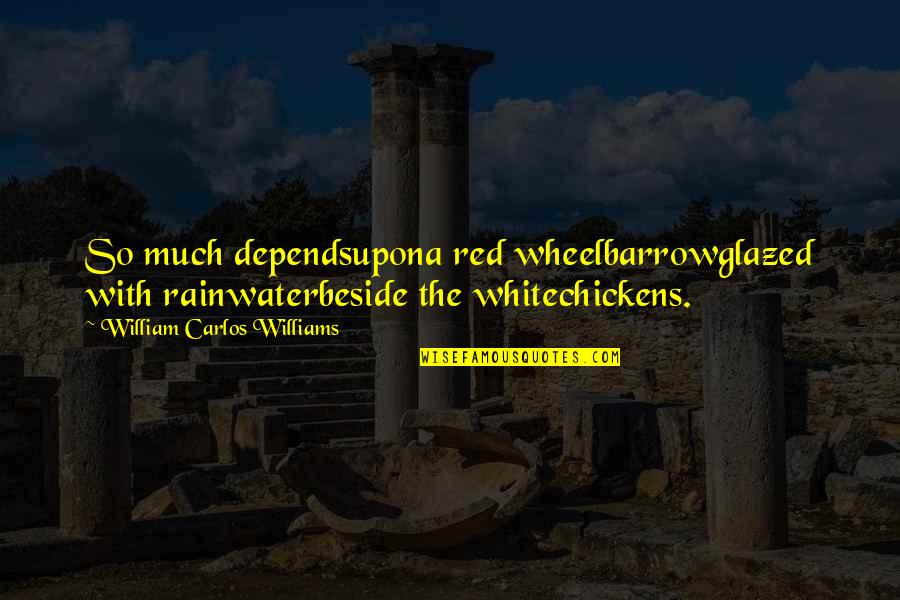 White Water Quotes By William Carlos Williams: So much dependsupona red wheelbarrowglazed with rainwaterbeside the