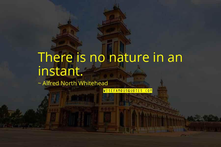 Whitehead Alfred North Quotes By Alfred North Whitehead: There is no nature in an instant.