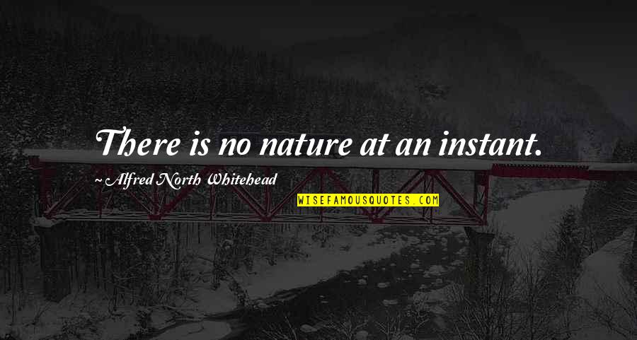 Whitehead Alfred North Quotes By Alfred North Whitehead: There is no nature at an instant.