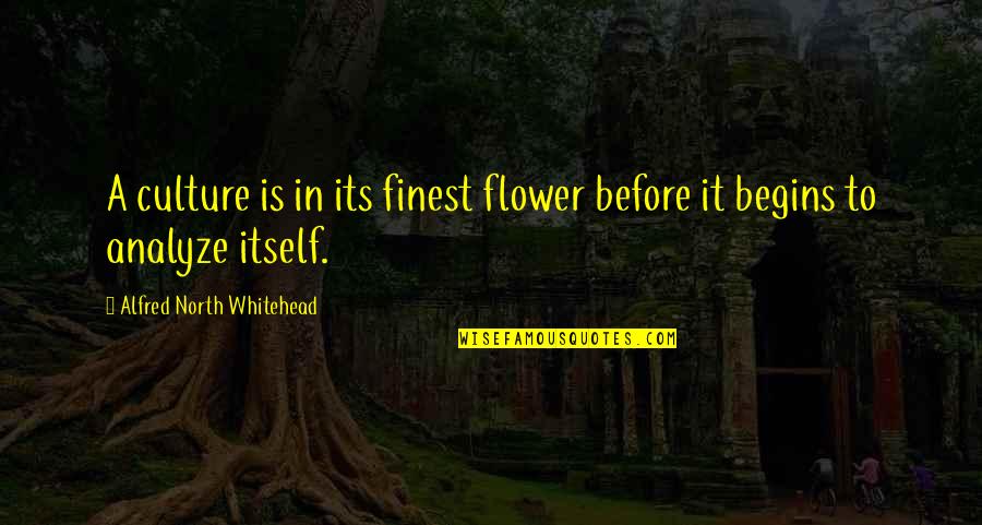 Whitehead Alfred North Quotes By Alfred North Whitehead: A culture is in its finest flower before