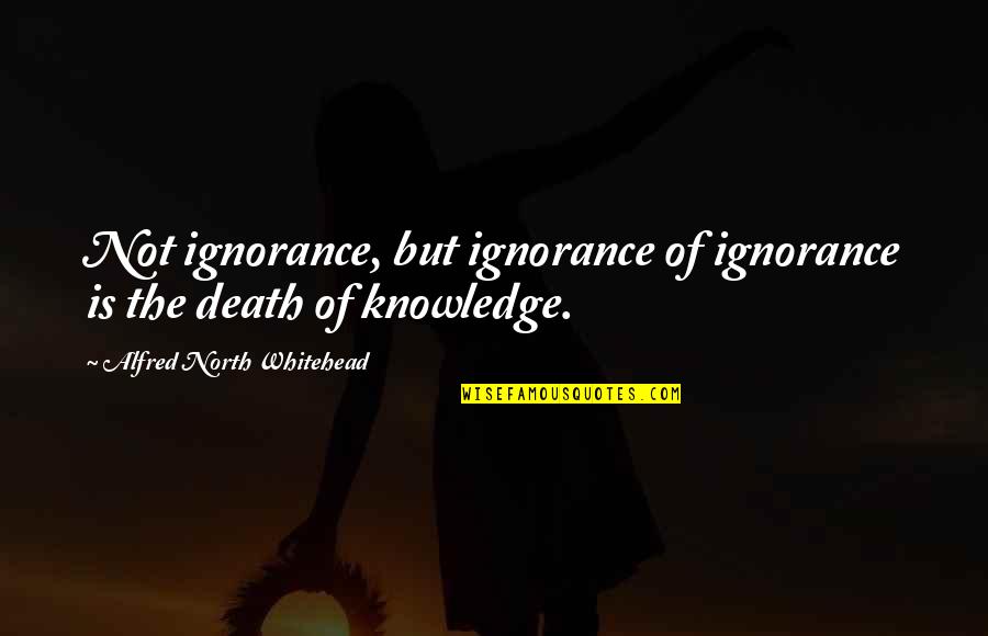 Whitehead's Quotes By Alfred North Whitehead: Not ignorance, but ignorance of ignorance is the