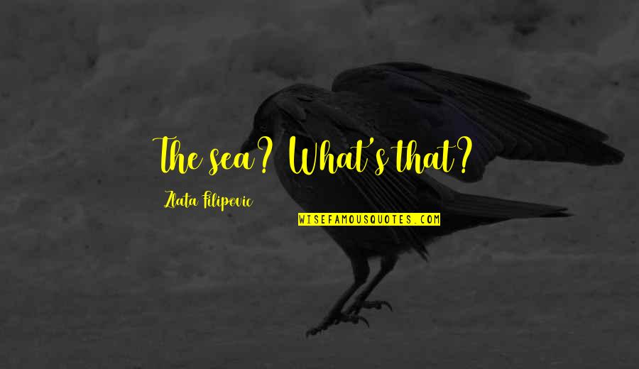 Whitely Quotes By Zlata Filipovic: The sea? What's that? Whitely Quotes By Zlata Filipovic: The sea? What's that?