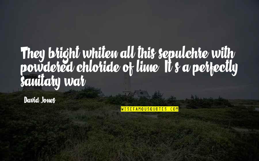 Whiten Quotes By David Jones: They bright whiten all this sepulchre with powdered Whiten Quotes By David Jones: They bright whiten all this sepulchre with powdered