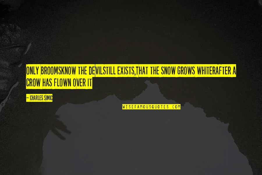 Whiter Quotes By Charles Simic: Only broomsKnow the devilStill exists,That the snow grows