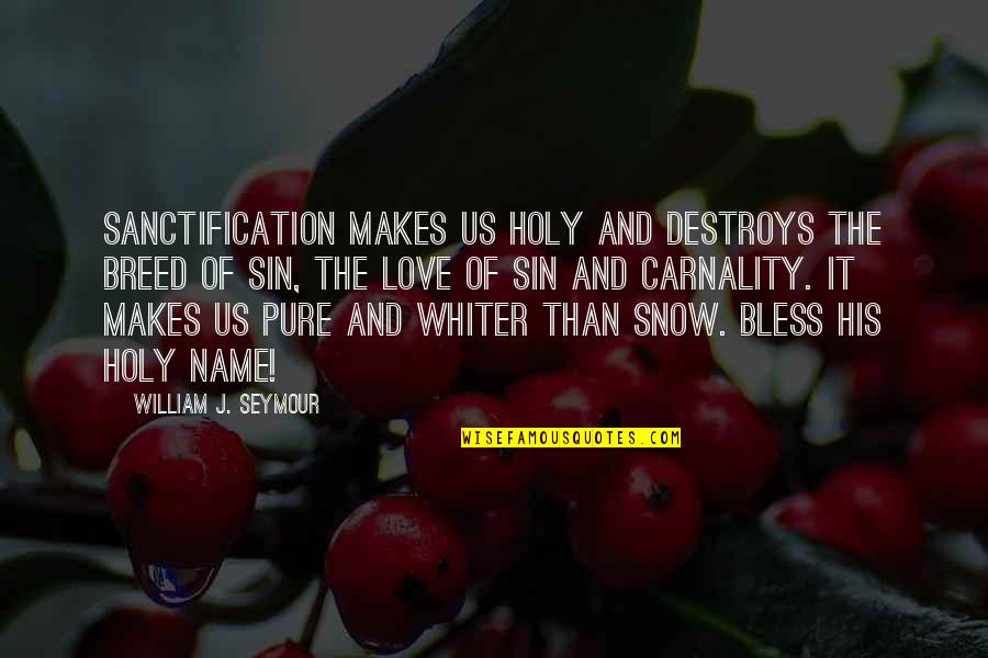 Whiter Than Quotes By William J. Seymour: Sanctification makes us holy and destroys the breed