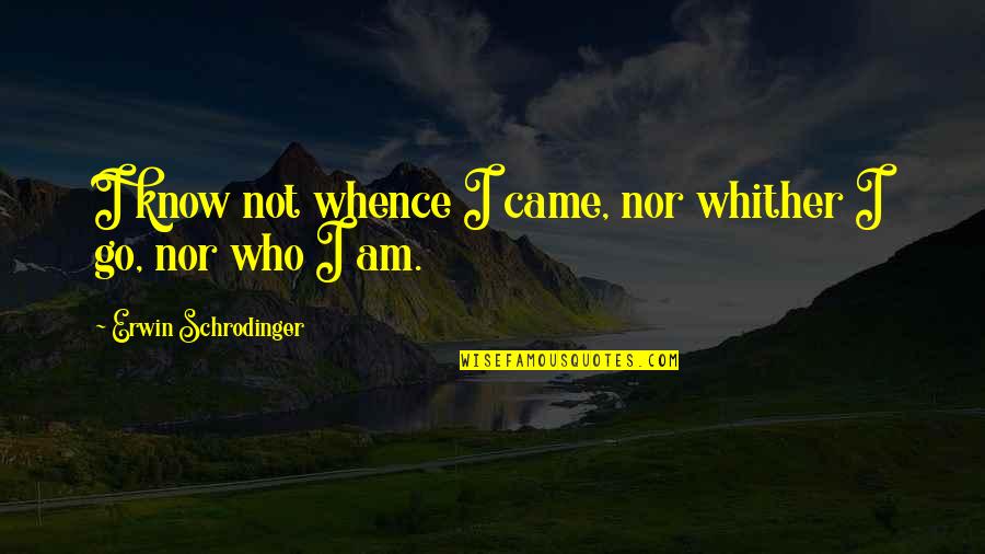 Whither Quotes By Erwin Schrodinger: I know not whence I came, nor whither