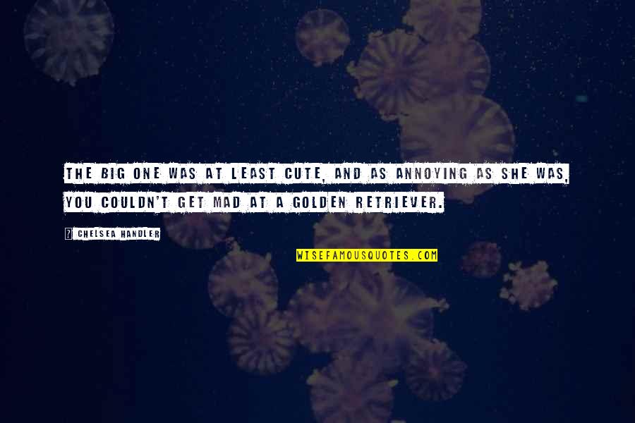 Whitish Or Lacking Quotes By Chelsea Handler: The big one was at least cute, and Whitish Or Lacking Quotes By Chelsea Handler: The big one was at least cute, and