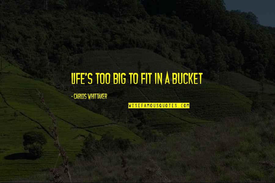 Whittaker's Quotes By Carlos Whittaker: Life's too big to fit in a bucket