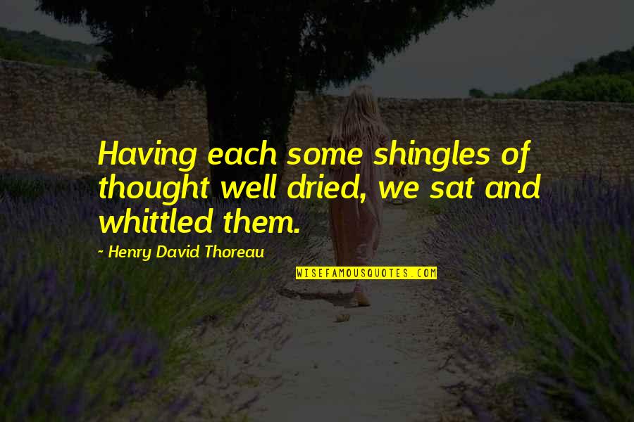 Whittled Quotes By Henry David Thoreau: Having each some shingles of thought well dried,