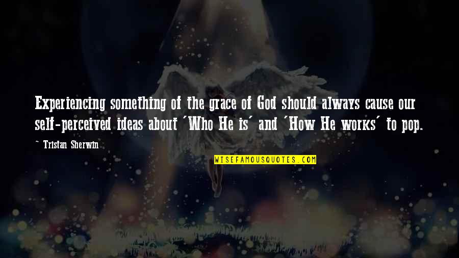 Who Am I To You Love Quotes By Tristan Sherwin: Experiencing something of the grace of God should