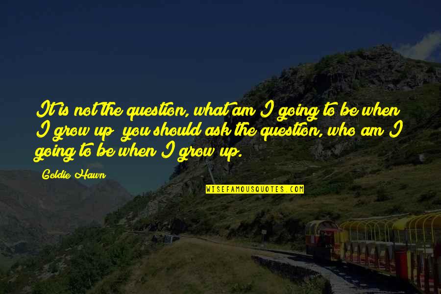 Who Am I To You Quotes By Goldie Hawn: It is not the question, what am I