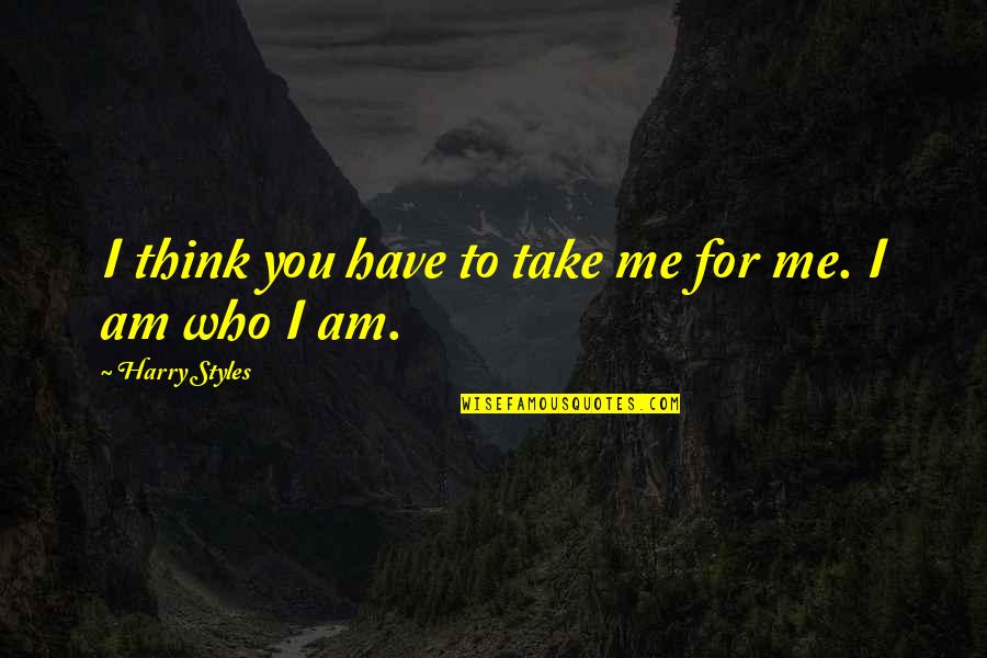 Who Am I To You Quotes By Harry Styles: I think you have to take me for