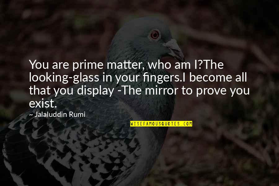 Who Am I To You Quotes By Jalaluddin Rumi: You are prime matter, who am I?The looking-glass