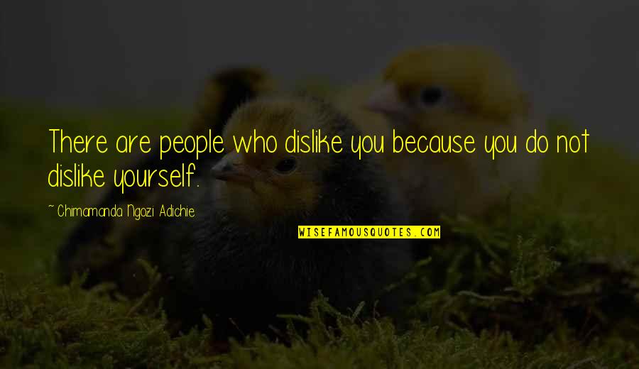 Who Are You Love Quotes By Chimamanda Ngozi Adichie: There are people who dislike you because you