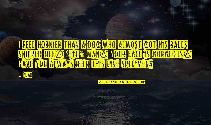 Who Is Man Quotes By Tijan: I feel hornier than a dog who almost