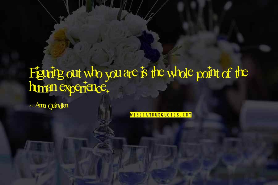 Who Is The Mother Quotes By Anna Quindlen: Figuring out who you are is the whole
