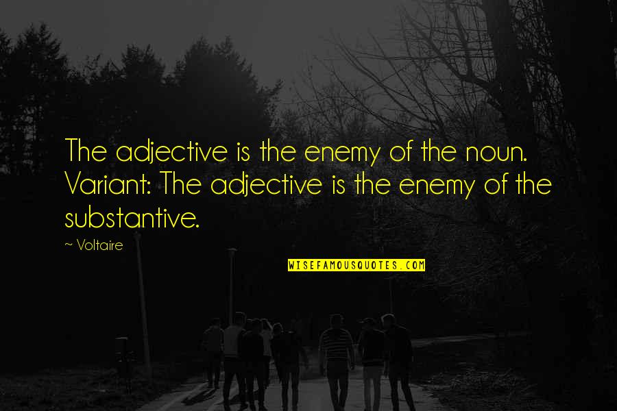 Who Owns Life Quotes By Voltaire: The adjective is the enemy of the noun. Who Owns Life Quotes By Voltaire: The adjective is the enemy of the noun.