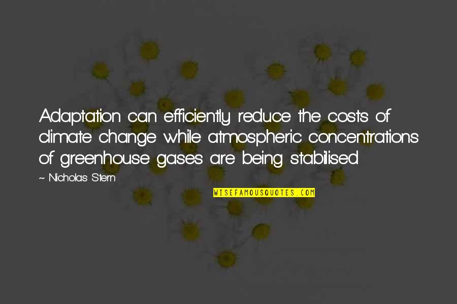 Who Still Awake Instagram Quotes By Nicholas Stern: Adaptation can efficiently reduce the costs of climate