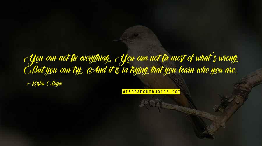 Who You Are In Life Quotes By Kirsten Beyer: You can not fix everything. You can not