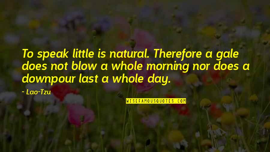 Whole Day Quotes By Lao-Tzu: To speak little is natural. Therefore a gale