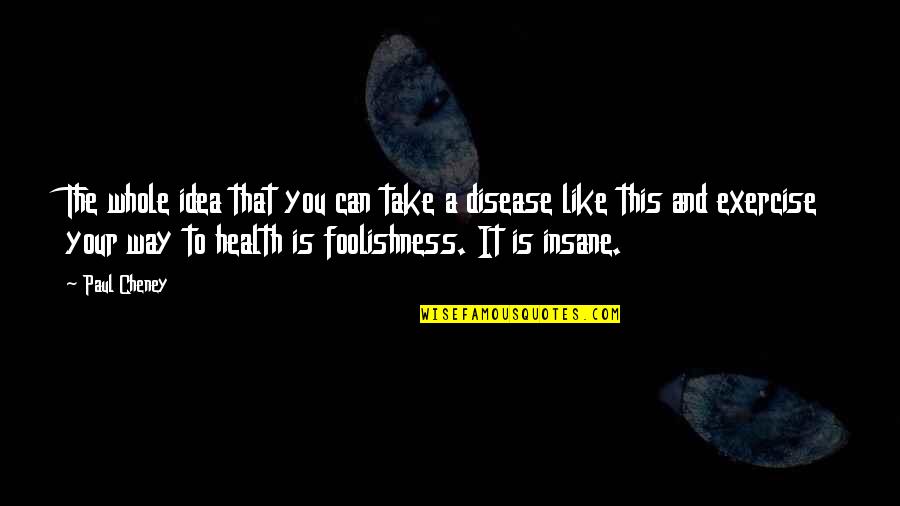 Whole Health Quotes By Paul Cheney: The whole idea that you can take a
