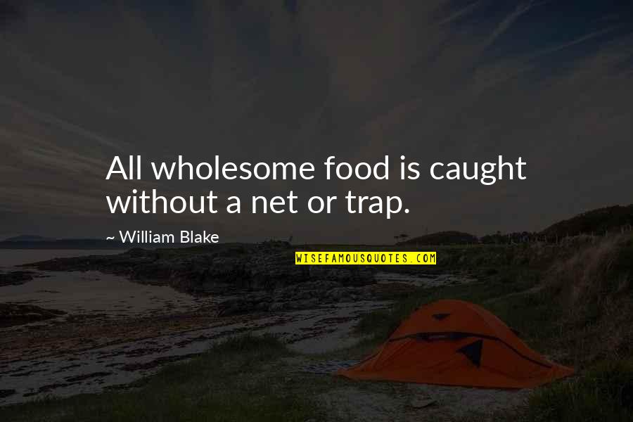 Wholesome Food Quotes By William Blake: All wholesome food is caught without a net
