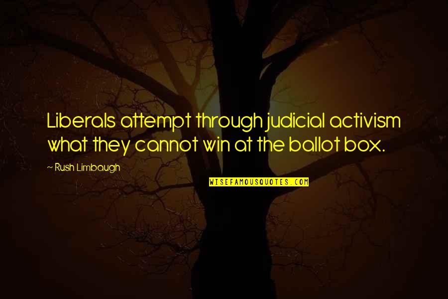 Whopper Candy Quotes By Rush Limbaugh: Liberals attempt through judicial activism what they cannot