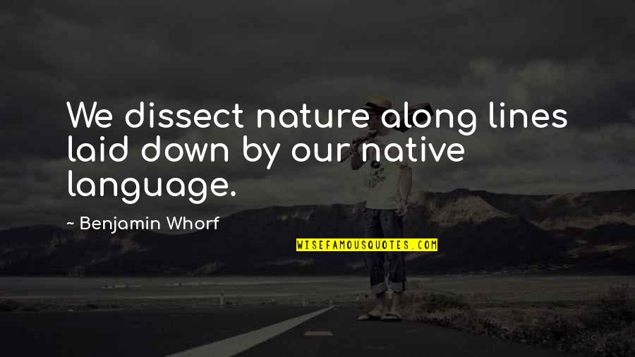 Whorf Quotes By Benjamin Whorf: We dissect nature along lines laid down by
