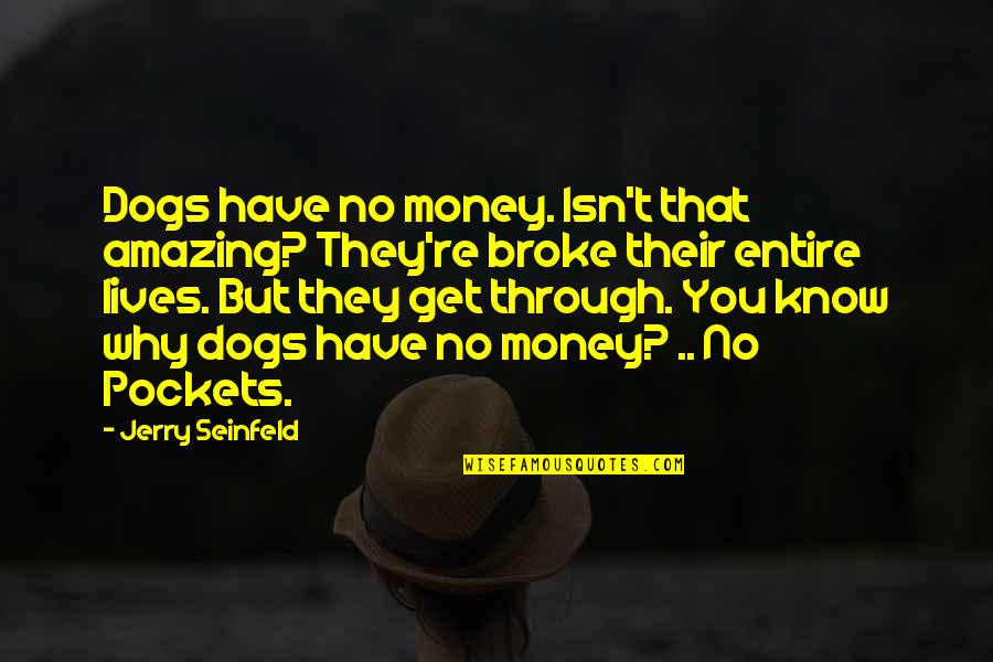 Why Am I Amazing Quotes By Jerry Seinfeld: Dogs have no money. Isn't that amazing? They're