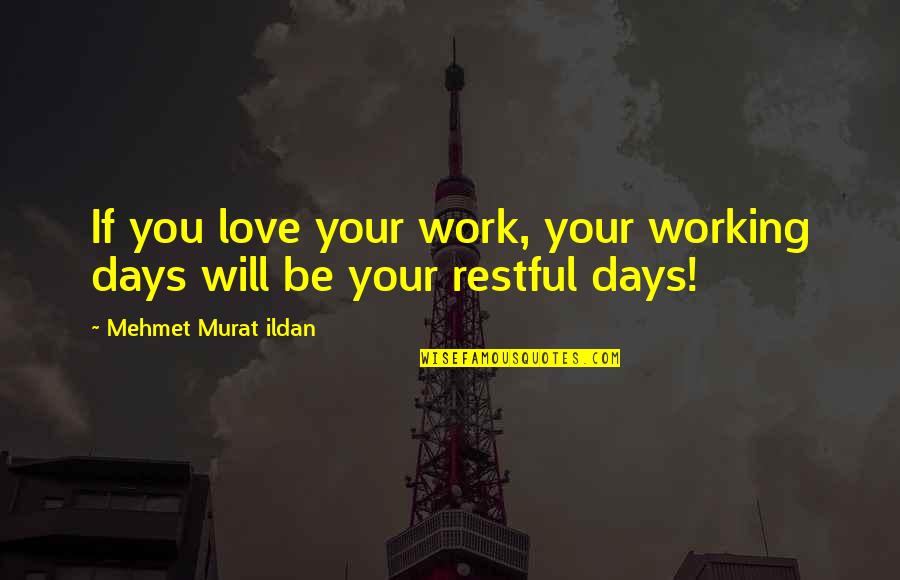 Why Did You Cheat Quotes By Mehmet Murat Ildan: If you love your work, your working days