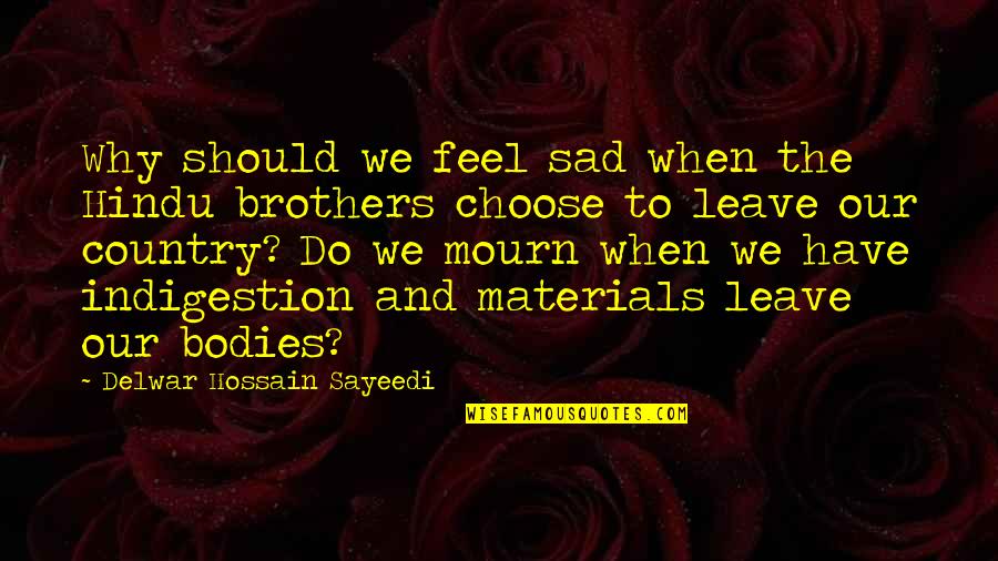 Why Do I Feel Sad Quotes By Delwar Hossain Sayeedi: Why should we feel sad when the Hindu