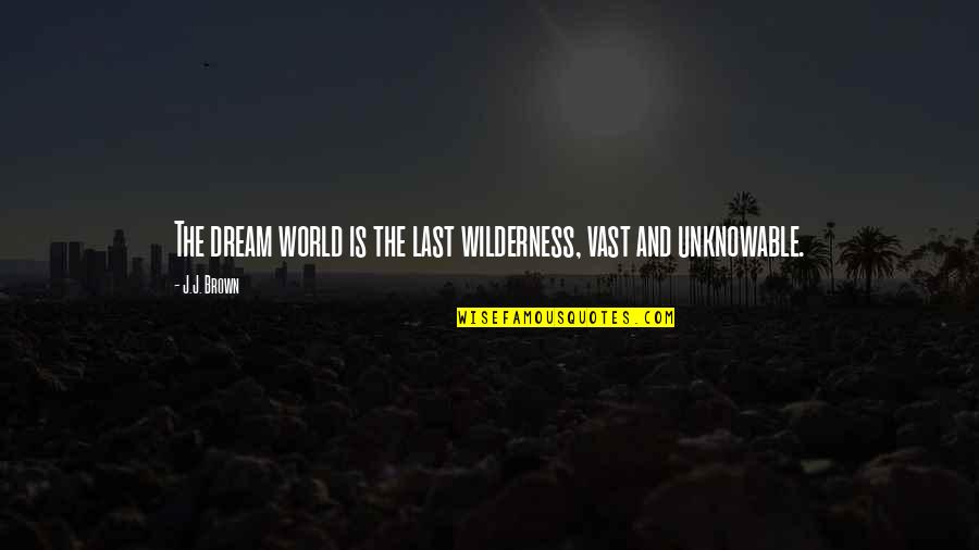 Why Do I Love My Job Quotes By J.J. Brown: The dream world is the last wilderness, vast