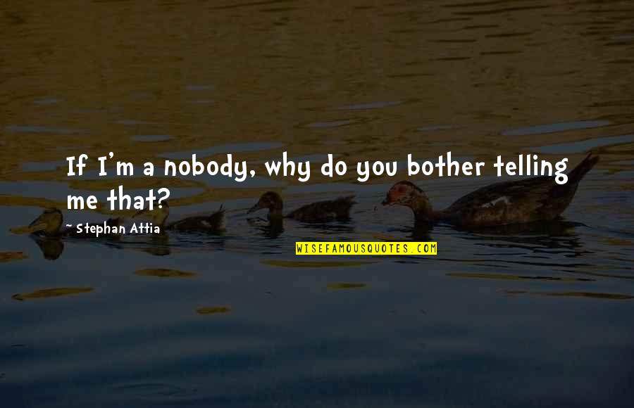 Why Do You Bother Quotes By Stephan Attia: If I'm a nobody, why do you bother